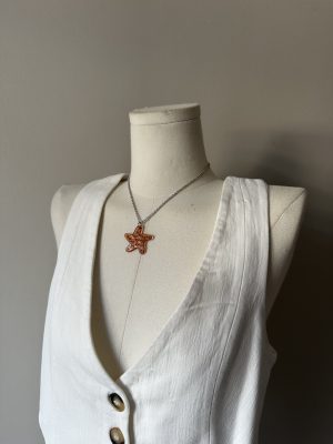 Orange Starfish on Silver Stainless Steel