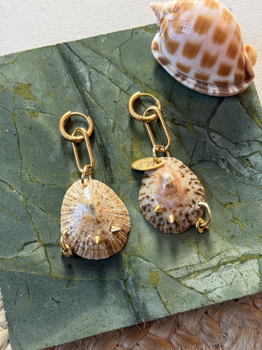 Gold Steel Shell Earrings - Image 2