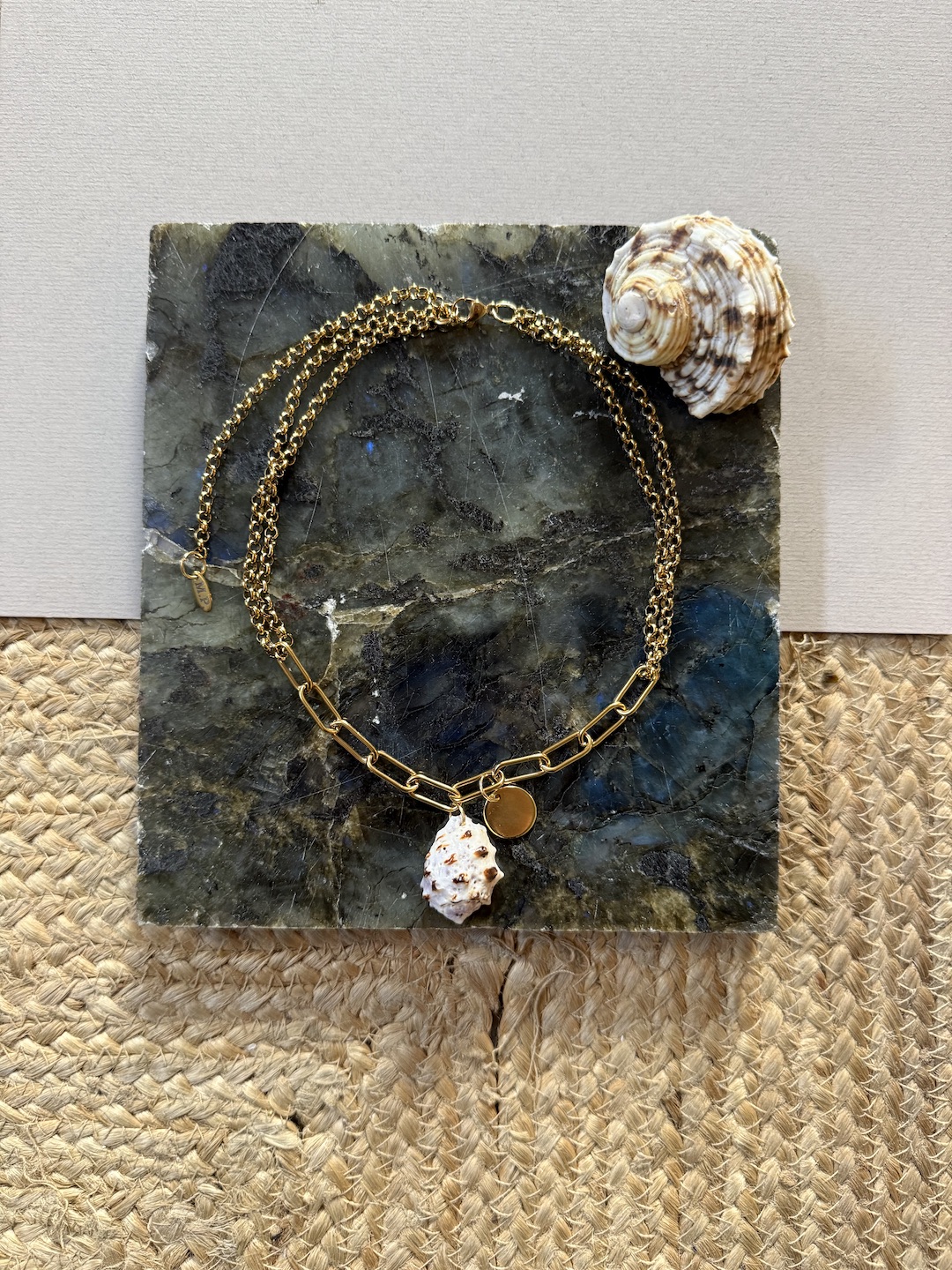 Gold Steel Shell Necklace