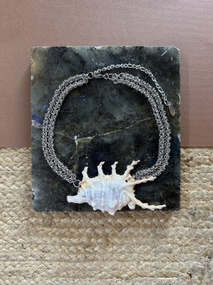 Silver Murex Shell Necklace